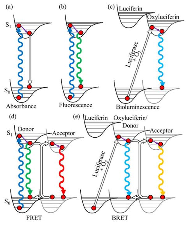 FIGURE 1