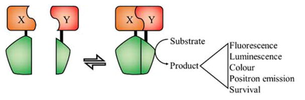 FIGURE 3