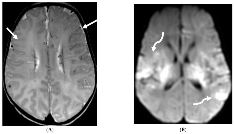 Figure 19