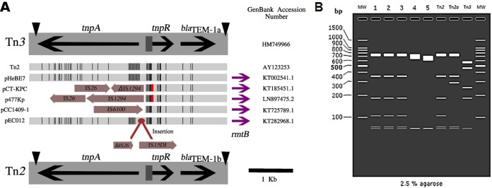 FIG 1