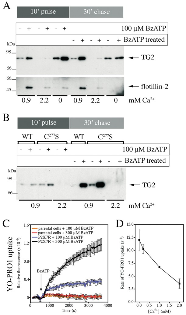 Fig. 5.