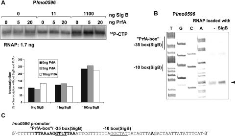 FIG. 3.