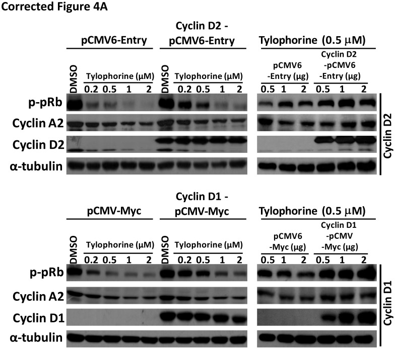 graphic file with name oncotarget-10-4919-g001.jpg