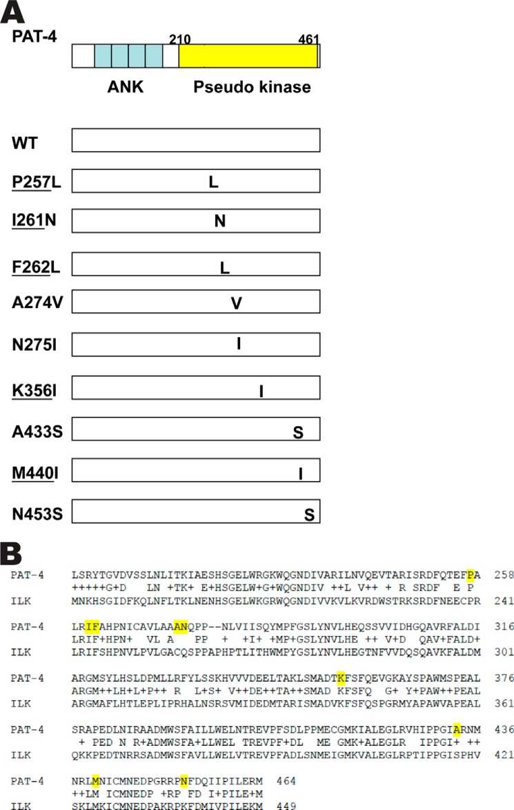 FIGURE 1.