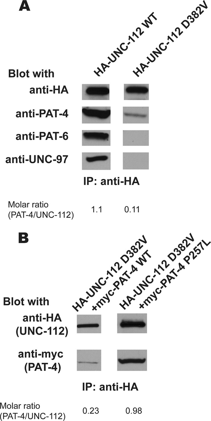 FIGURE 4.