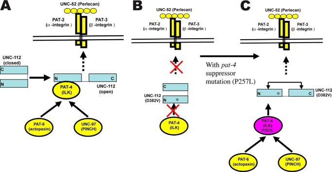 FIGURE 5.