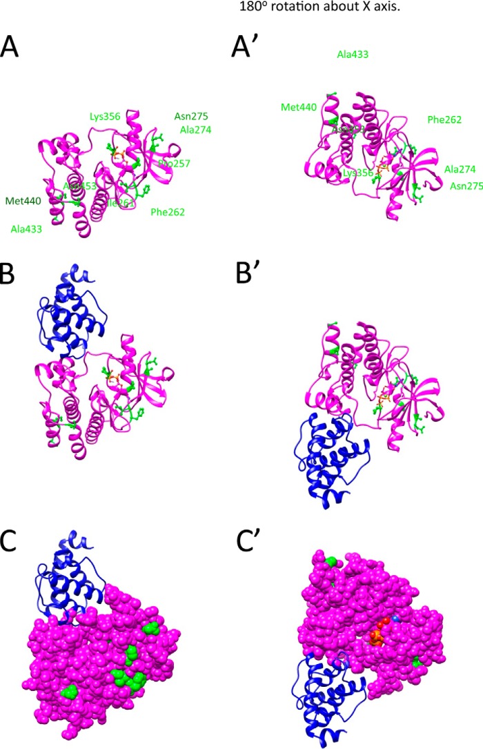 FIGURE 2.