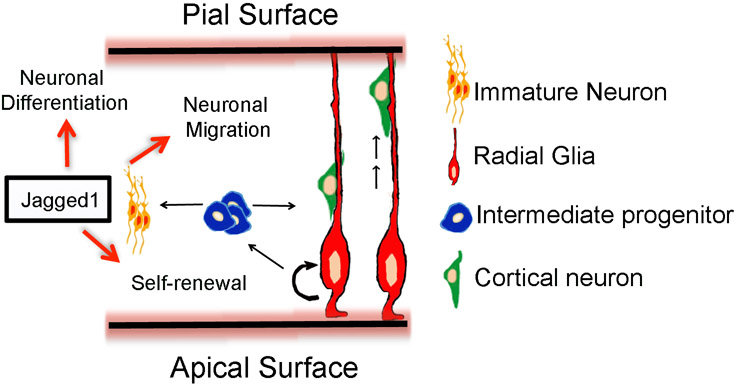 Figure 8.