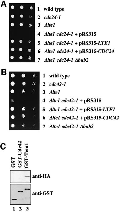 graphic file with name cdf481f2.jpg