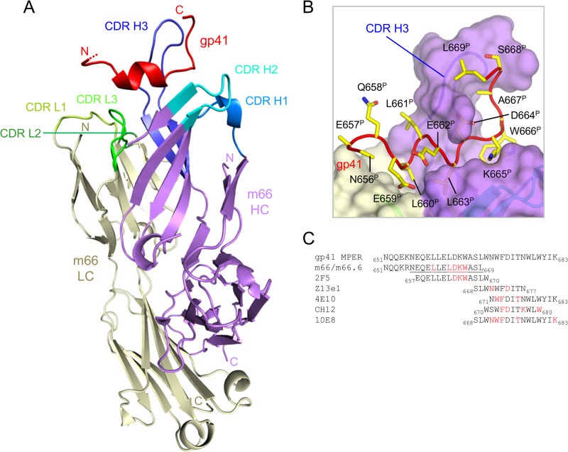 FIG 1