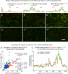 Fig. 12