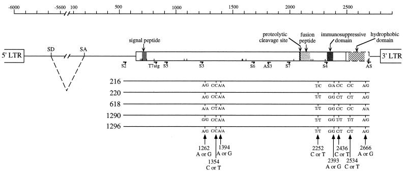 FIG. 1