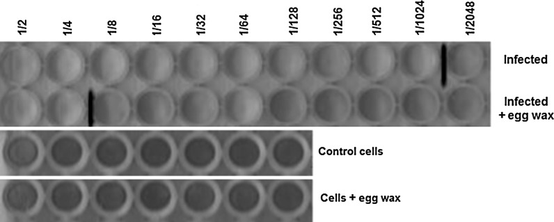 Fig. 4