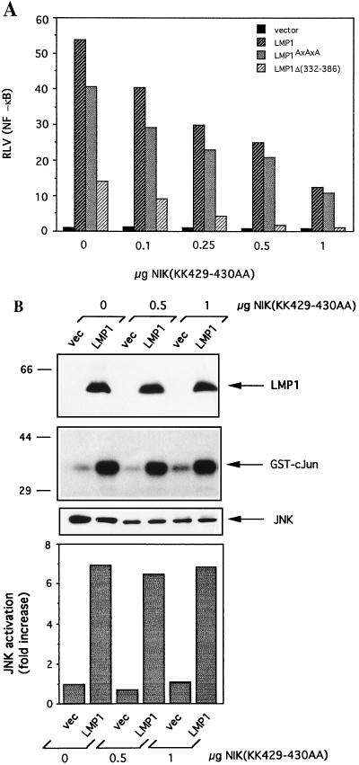FIG. 6