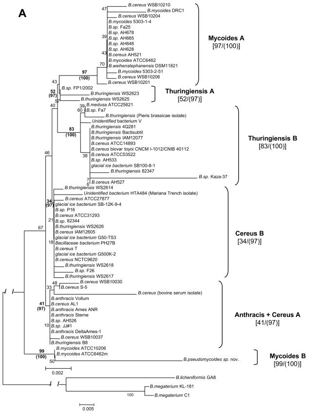 FIG. 3.