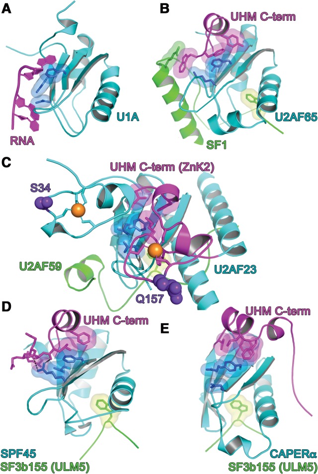 FIGURE 3.