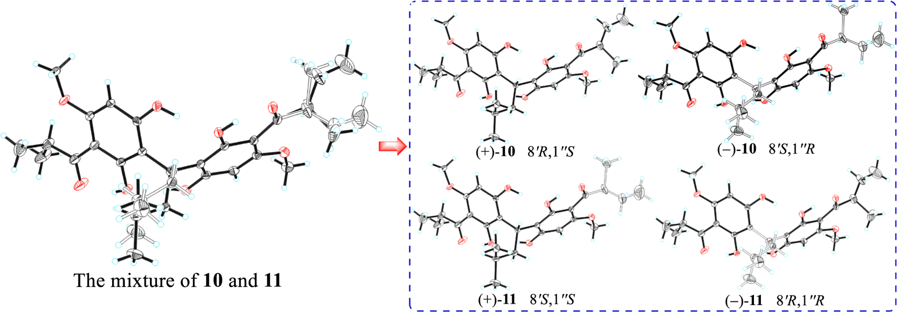 Fig. 10.