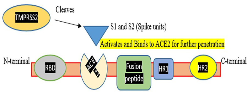 Figure 1