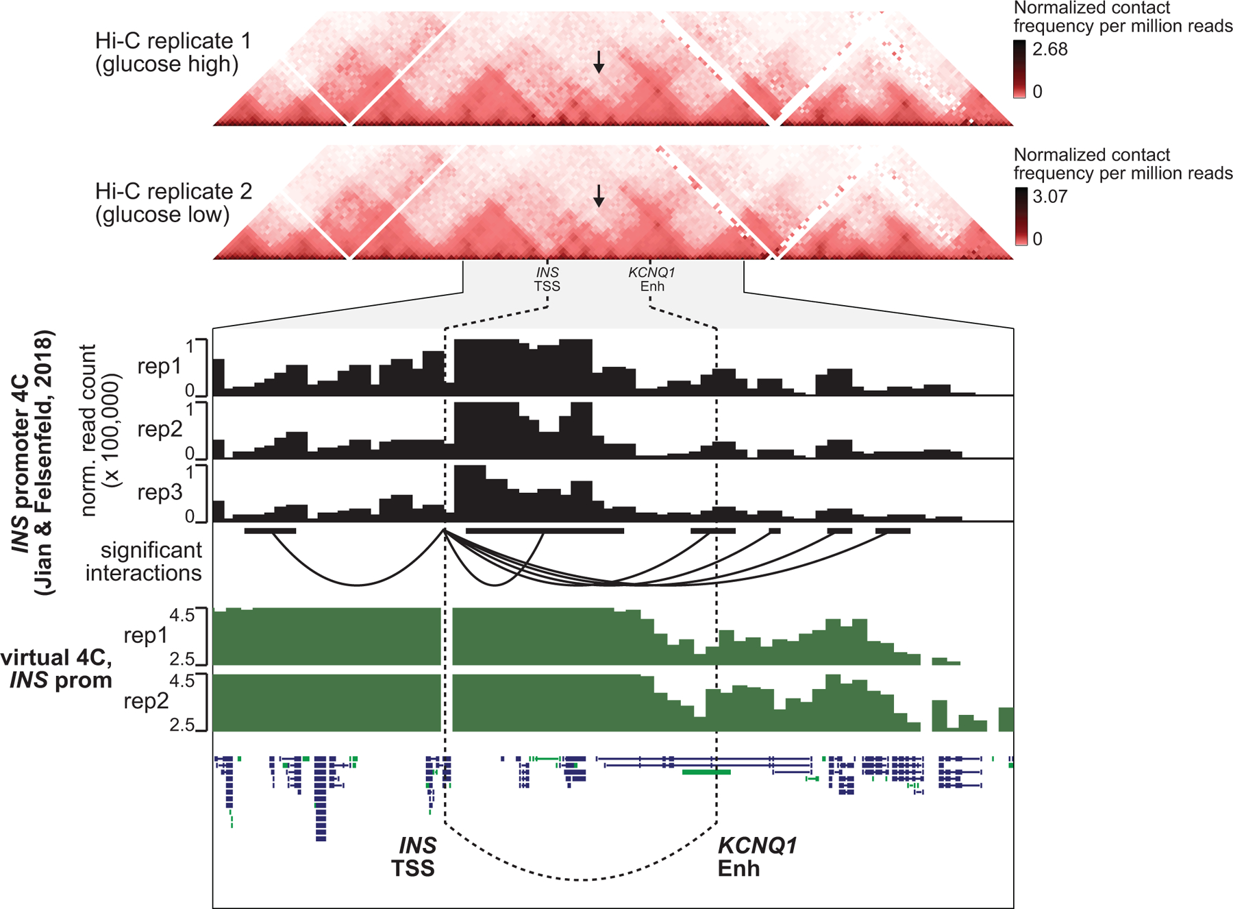 Extended Data Fig. 9