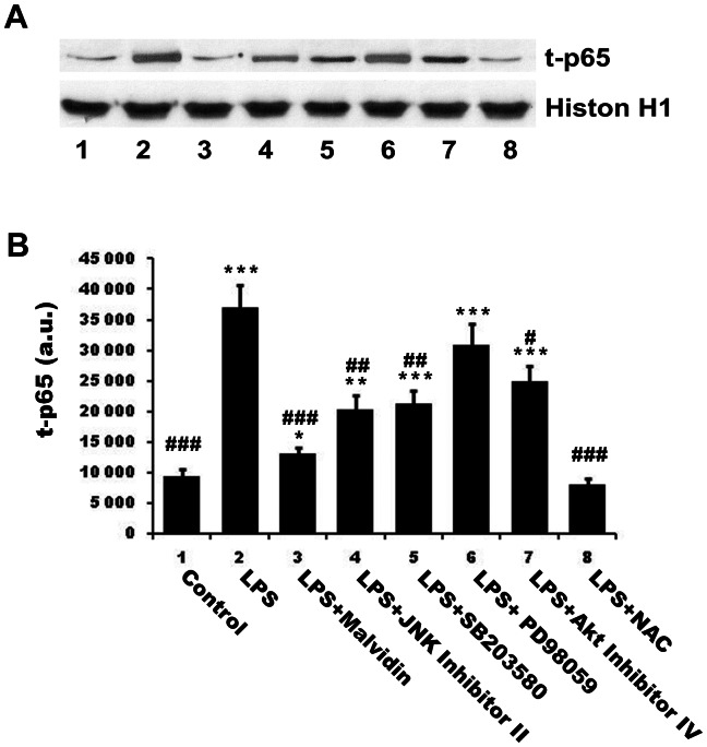 Figure 9