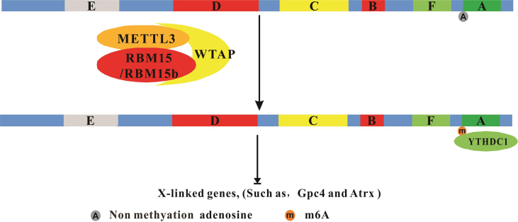 Figure 2