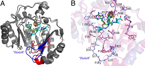 Fig. 3.