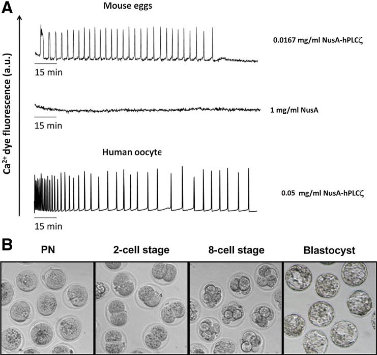 Figure 3