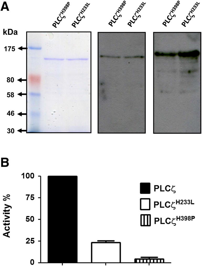 Figure 5