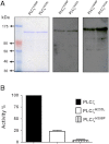 Figure 5