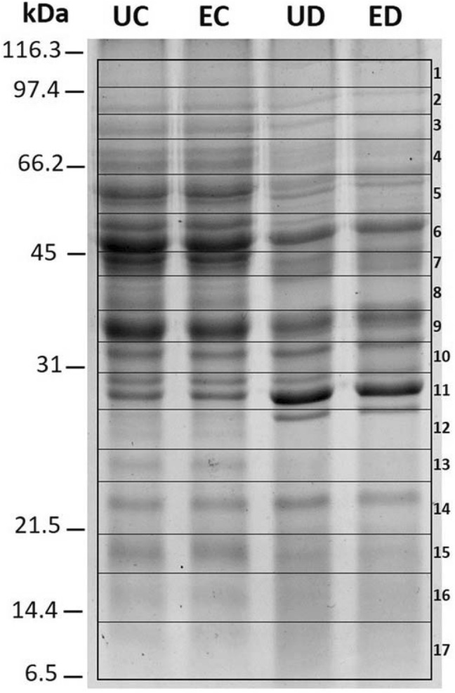 Fig. 2