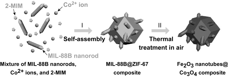 Fig. 1