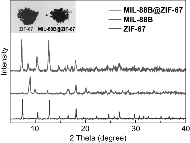 Fig. 3