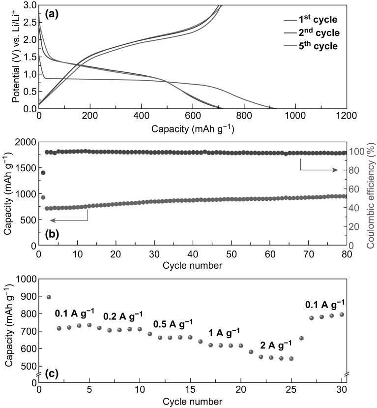 Fig. 7