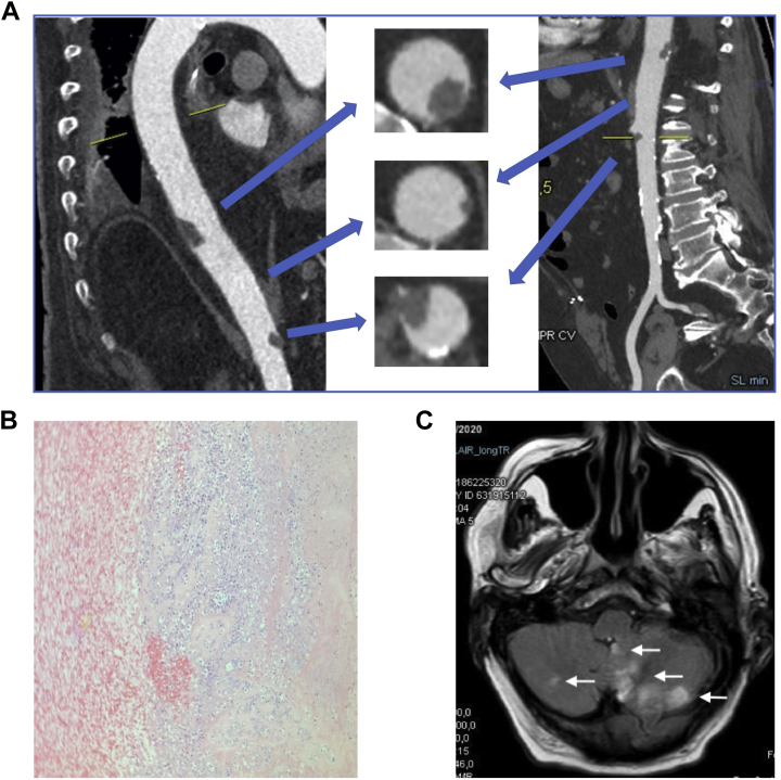 Figure 1