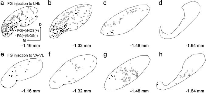 Fig. 10