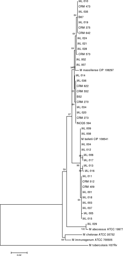 FIG. 1.