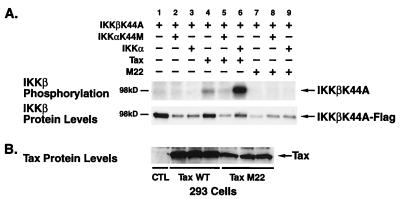 FIG. 6