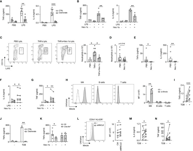 Figure 5