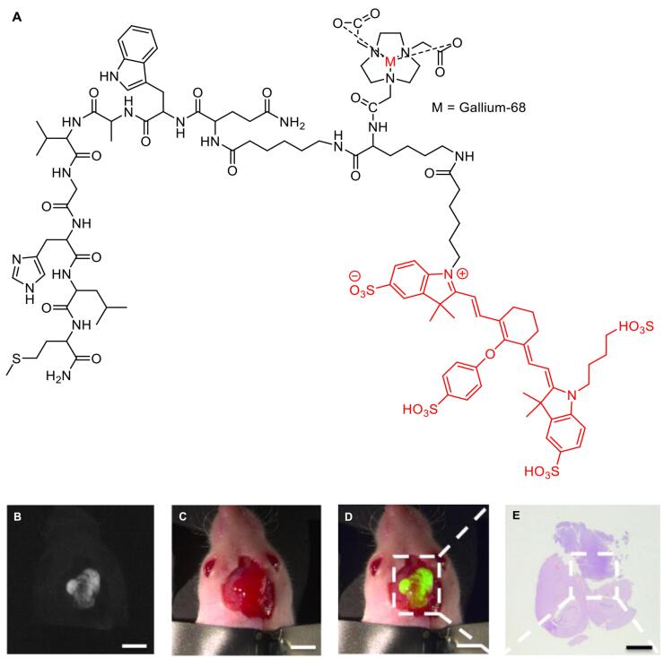 Figure 9