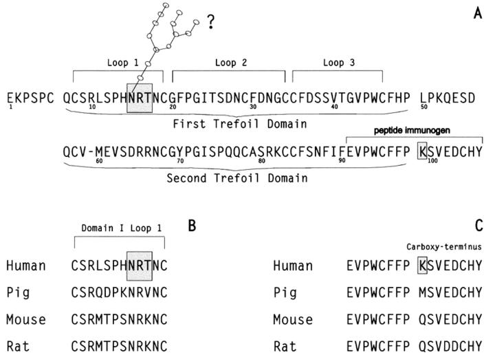 Figure 1  