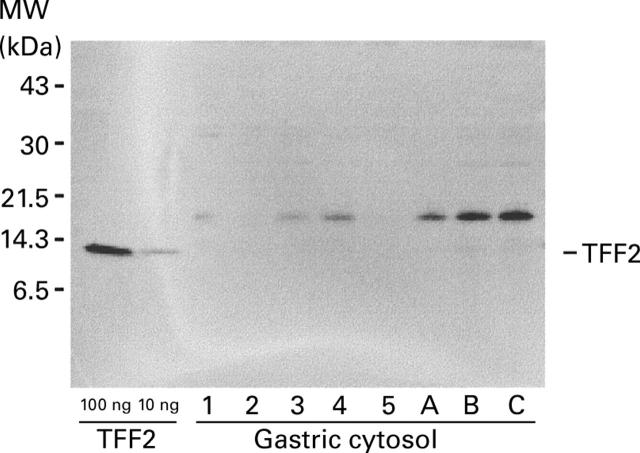 Figure 4  