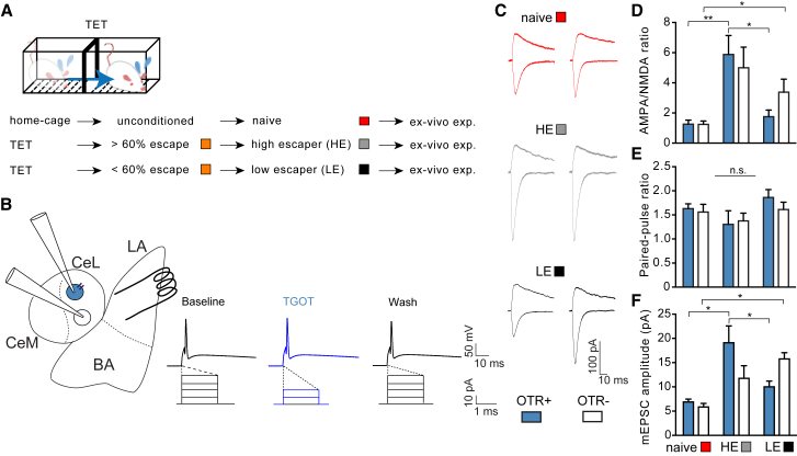 Figure 5