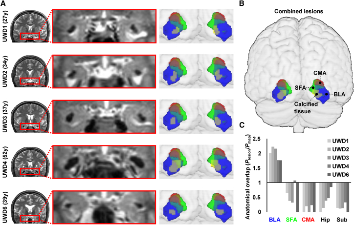 Figure 1