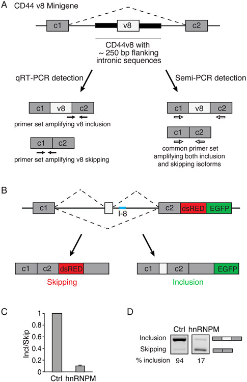 Figure 3: