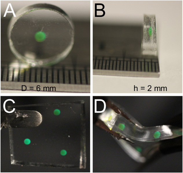 FIGURE 3