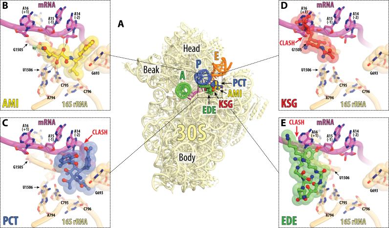 Figure 4