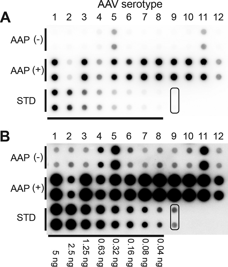 FIG 4