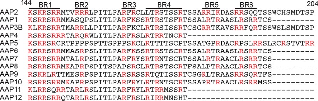 FIG 2