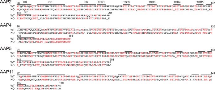 FIG 10