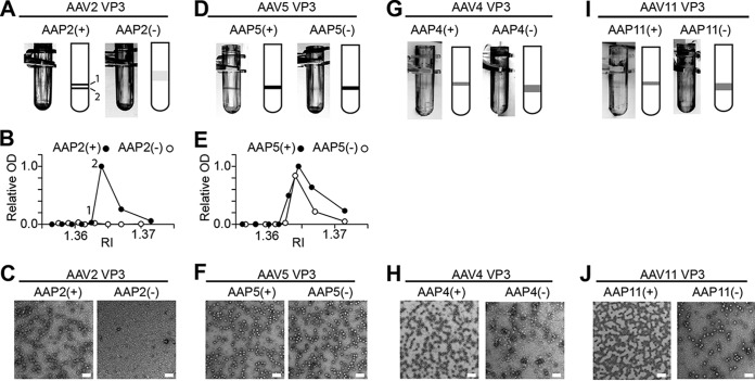 FIG 6